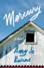 Go to record Mercury : [a novel]