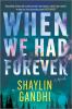 Go to record When we had forever : a novel