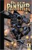 Go to record Black Panther : enemy of the state. [vol. 2]