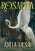 Go to record Rosarita : a novel