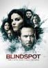 Go to record Blindspot. The fifth and final season