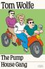 Go to record The pump house gang