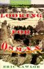 Go to record Looking for Osman : one man's travels through the paradox ...