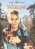 Go to record The yearling