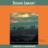 Go to record The last promise