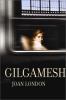 Go to record Gilgamesh : a novel