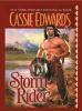 Go to record Storm rider