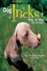 Go to record Dog tricks : step by step