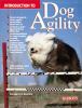 Go to record Introduction to dog agility