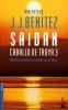 Go to record Saidan : Caballo de Troya 3