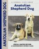 Go to record Anatolian shepherd dog