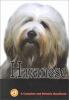 Go to record Havanese : a complete and reliable handbook
