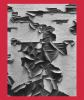 Go to record Aaron Siskind 100.