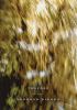 Go to record Trapeze : poems