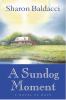Go to record A sundog moment : a novel of hope