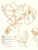 Go to record Letters : poems 1953-1956