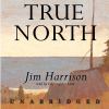 Go to record True north