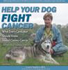 Go to record Help your dog fight cancer : an overview of home care opti...