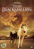 Go to record The young black stallion