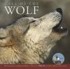Go to record Call of the wolf.