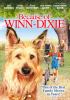 Go to record Because of Winn-Dixie