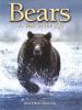 Go to record Bears : a year in the life