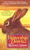 Go to record Watership Down