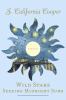 Go to record Wild stars seeking midnight suns : stories