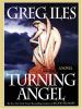 Go to record Turning angel