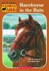 Go to record Racehorse in the rain