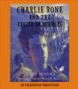 Go to record Charlie Bone and the castle of mirrors