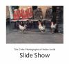 Go to record Slide show : the color photographs of Helen Levitt ; forew...