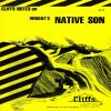 Go to record Native son : notes