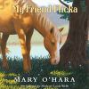 Go to record My friend Flicka