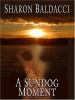 Go to record A sundog moment