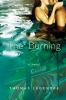 Go to record The burning : a novel