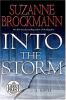 Go to record Into the storm : a novel