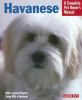 Go to record Havanese : everything about purchase, care, nutrition, beh...