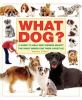 Go to record What dog? : a guide to help new owners select the right br...