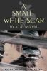 Go to record A small white scar