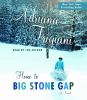 Go to record Home to Big Stone Gap [a novel]