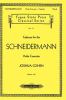 Go to record Cadenza for the Schneidermann violin concerto : a novel