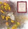 Go to record Letters from Eden : a year at home, in the woods