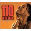 Go to record 110 in the shade the 2007 Broadway revival