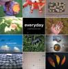 Go to record Everyday : a yearlong photo diary
