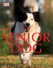 Go to record The senior dog