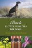 Go to record Bach flower remedies for dogs