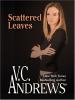 Go to record Scattered leaves