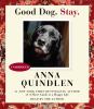 Go to record Good dog. Stay