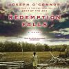 Go to record Redemption falls a novel